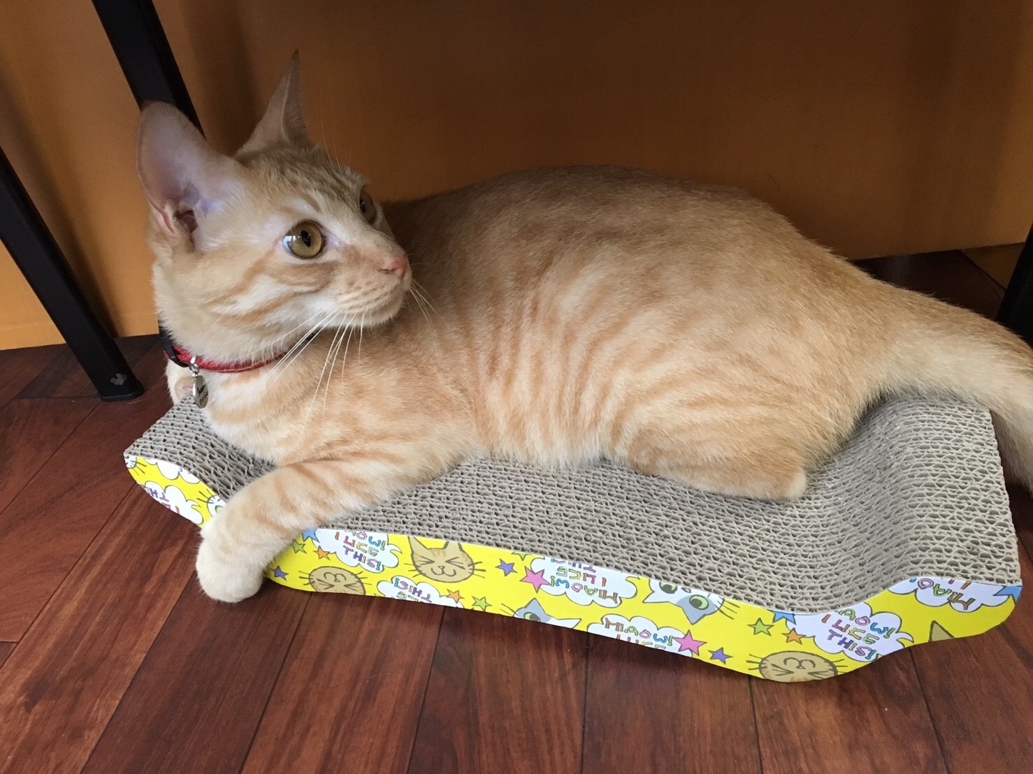猫用爪とぎ 猫用爪とぎ