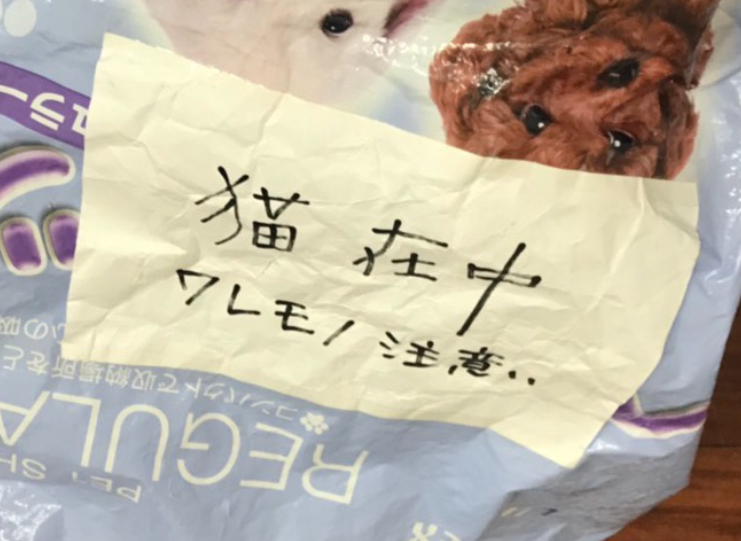猫在住 猫在住