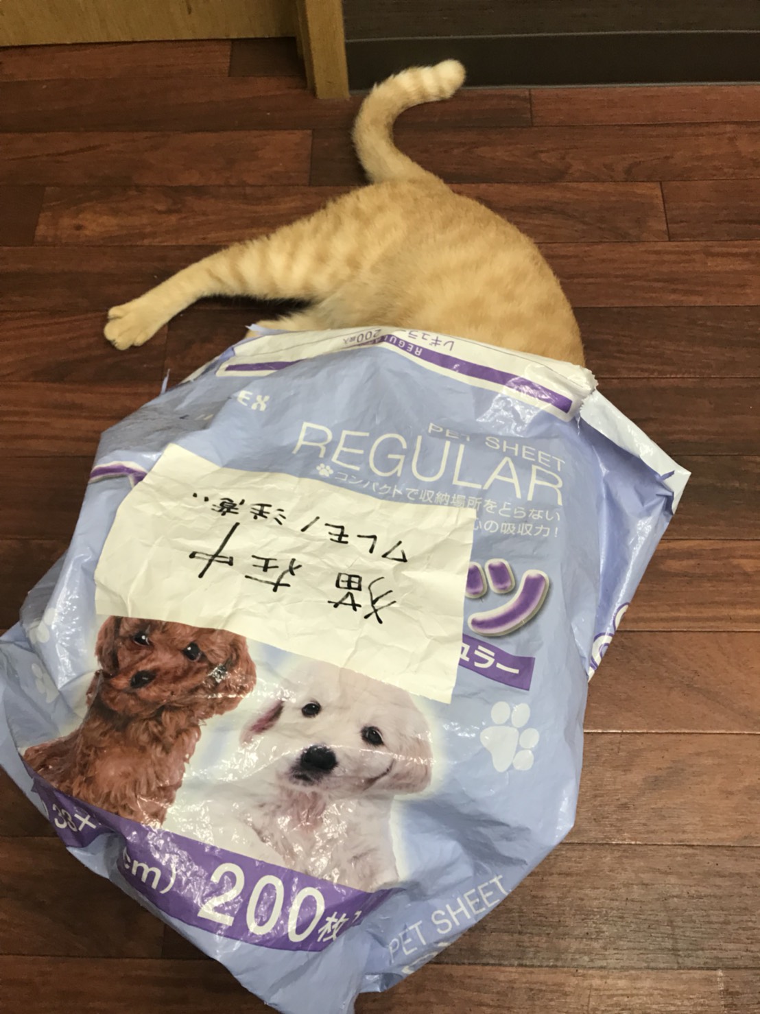 アンバー アンバー