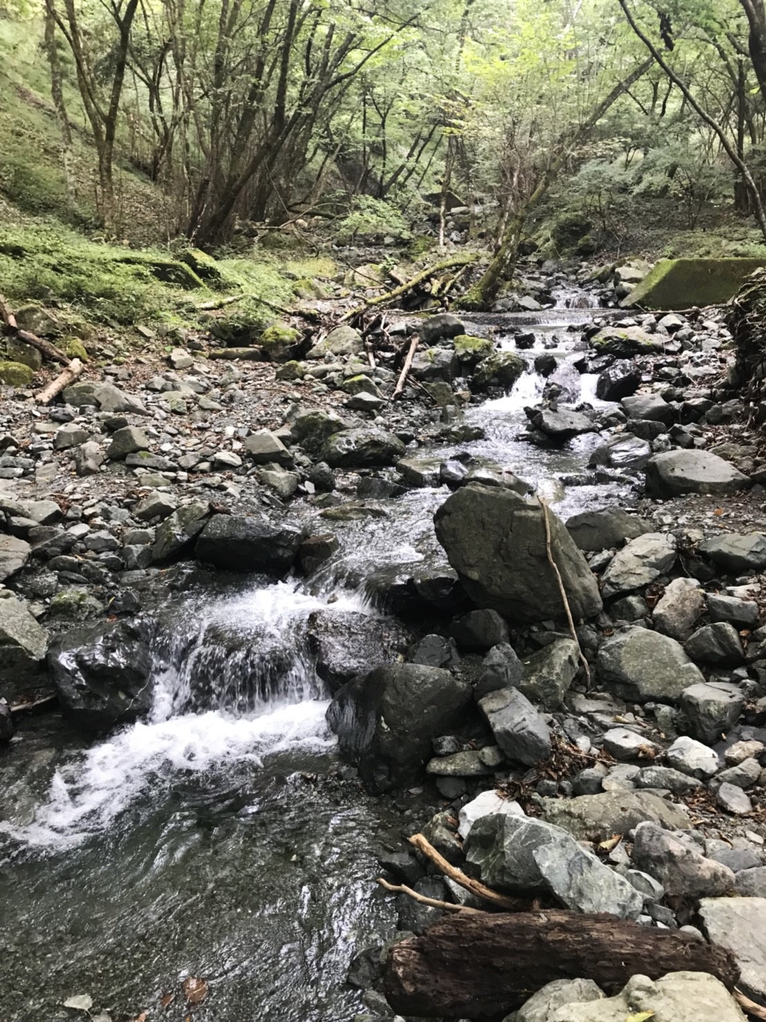 鍋割山 鍋割山