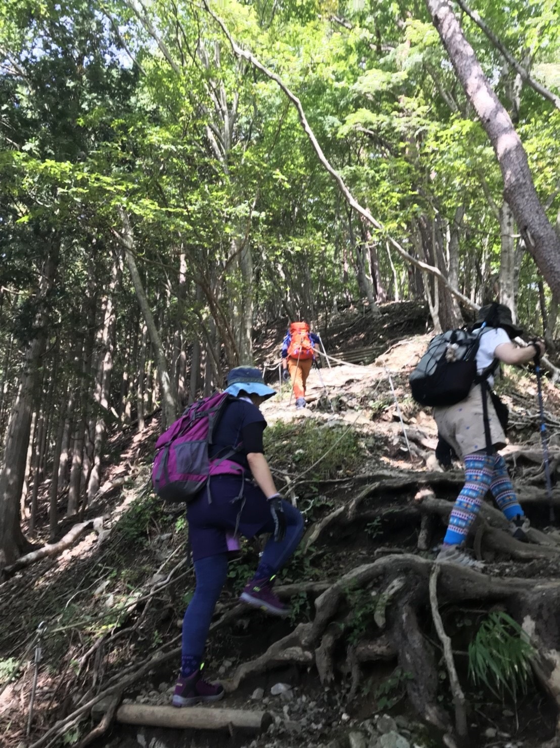 鍋割山 鍋割山