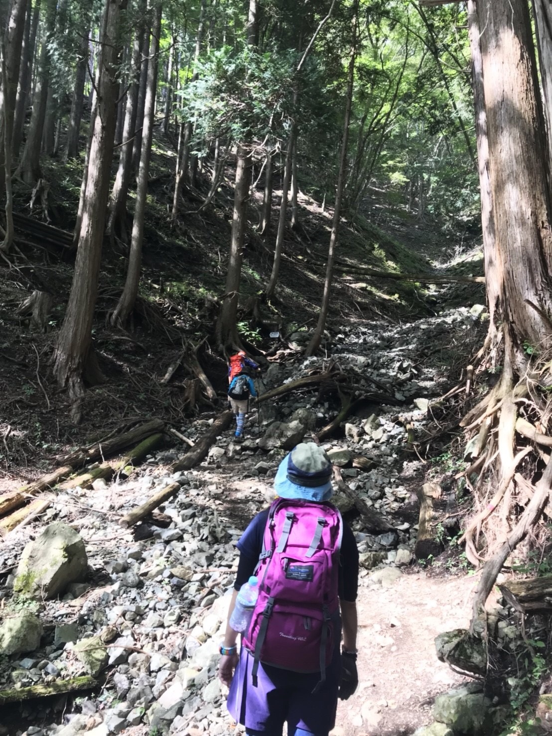 鍋割山 鍋割山