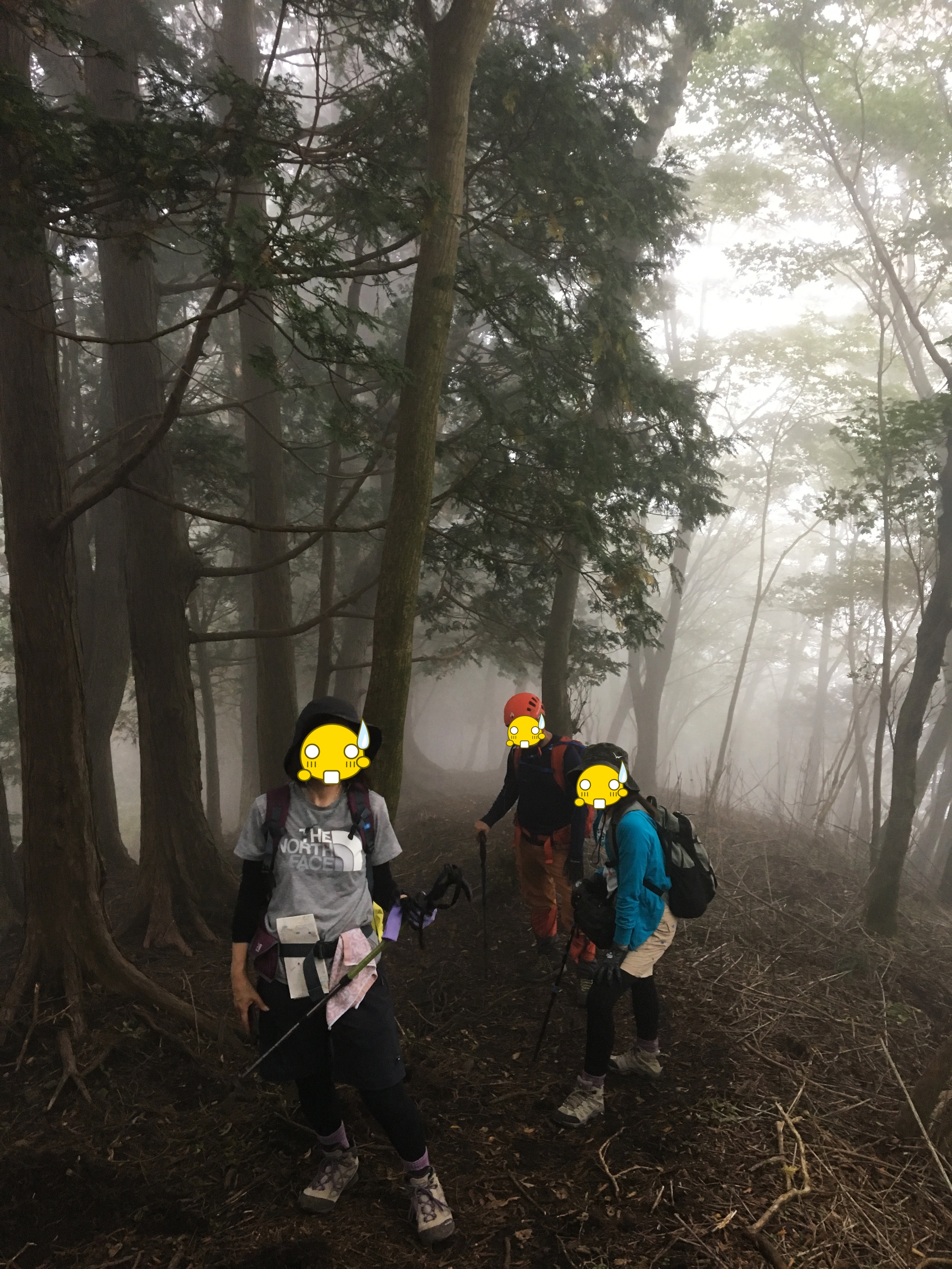 鍋割山 鍋割山
