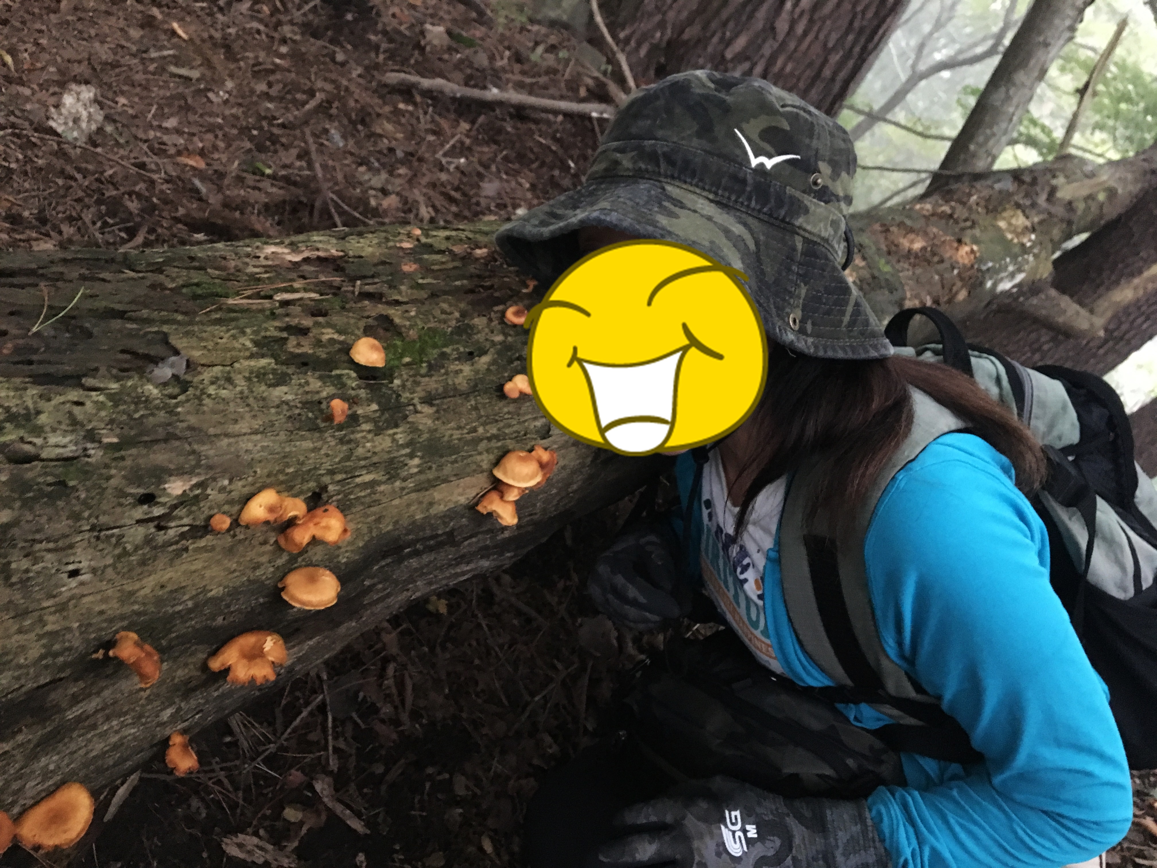 鍋割山 鍋割山