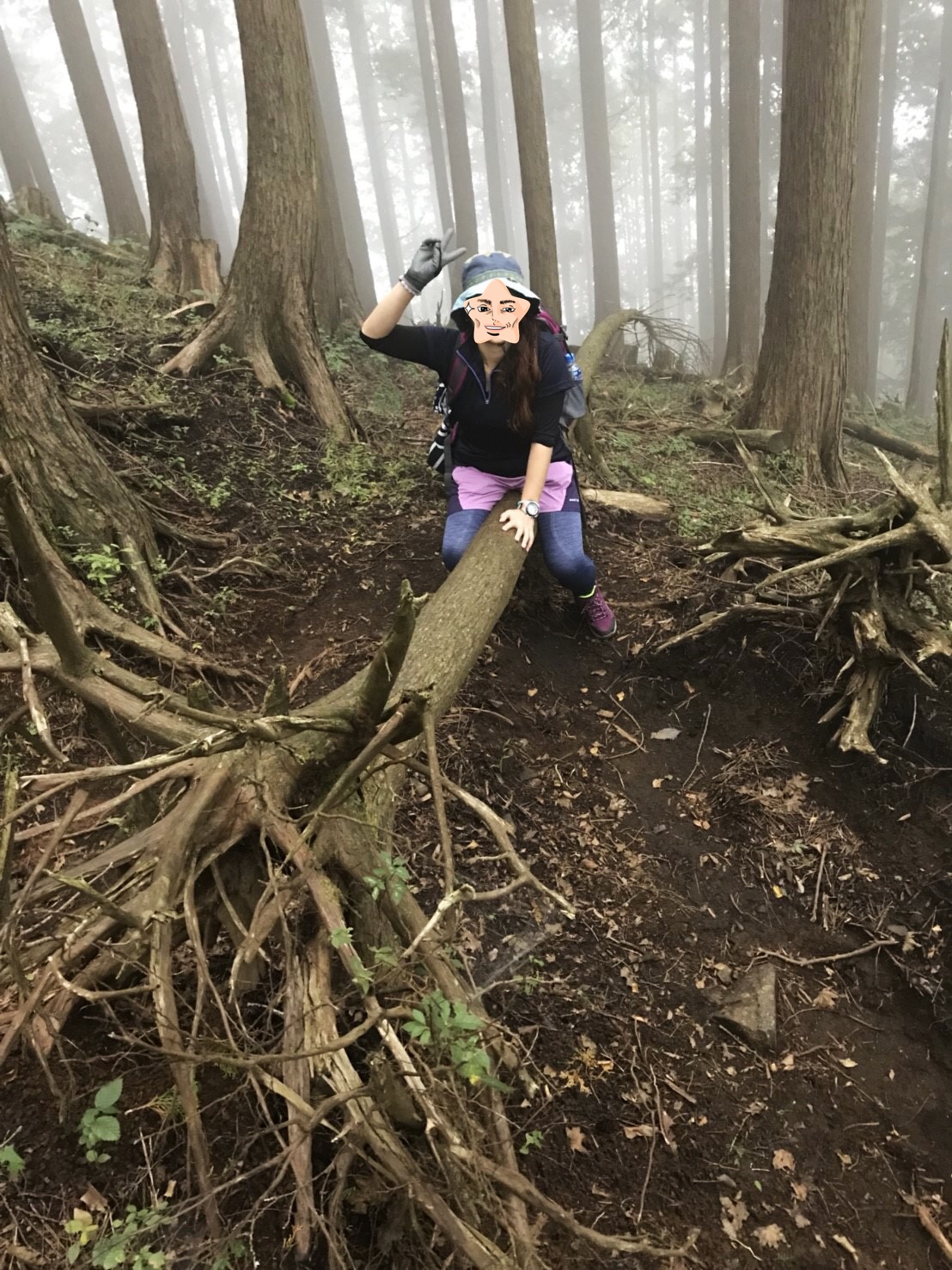 鍋割山 鍋割山