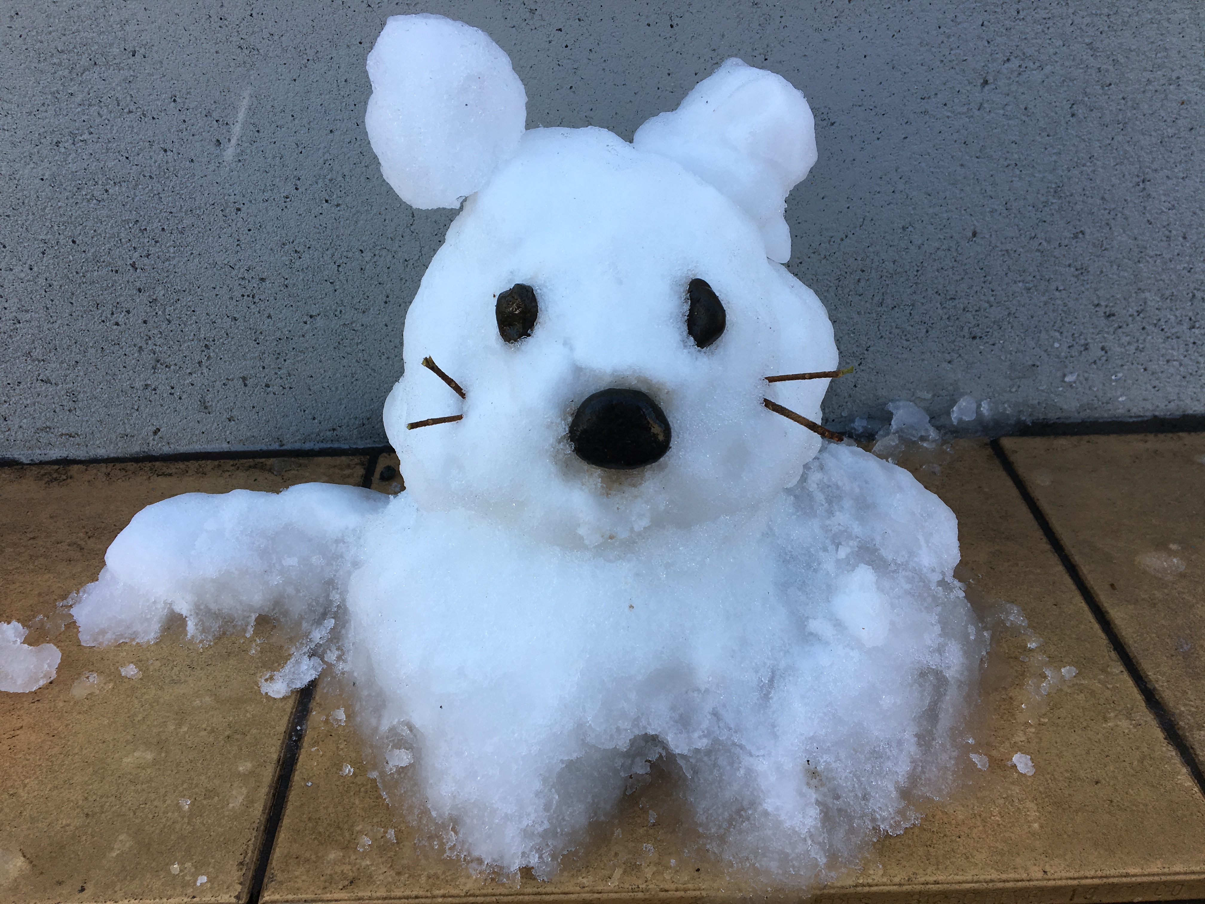 雪 雪