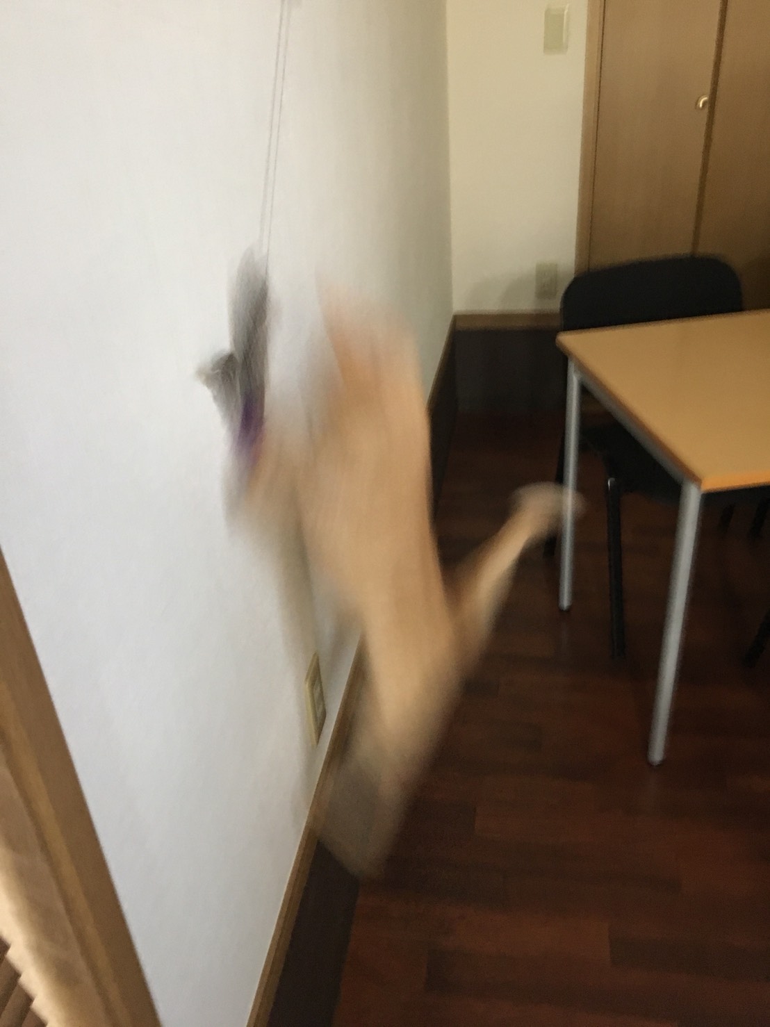残像アンバー 残像アンバー