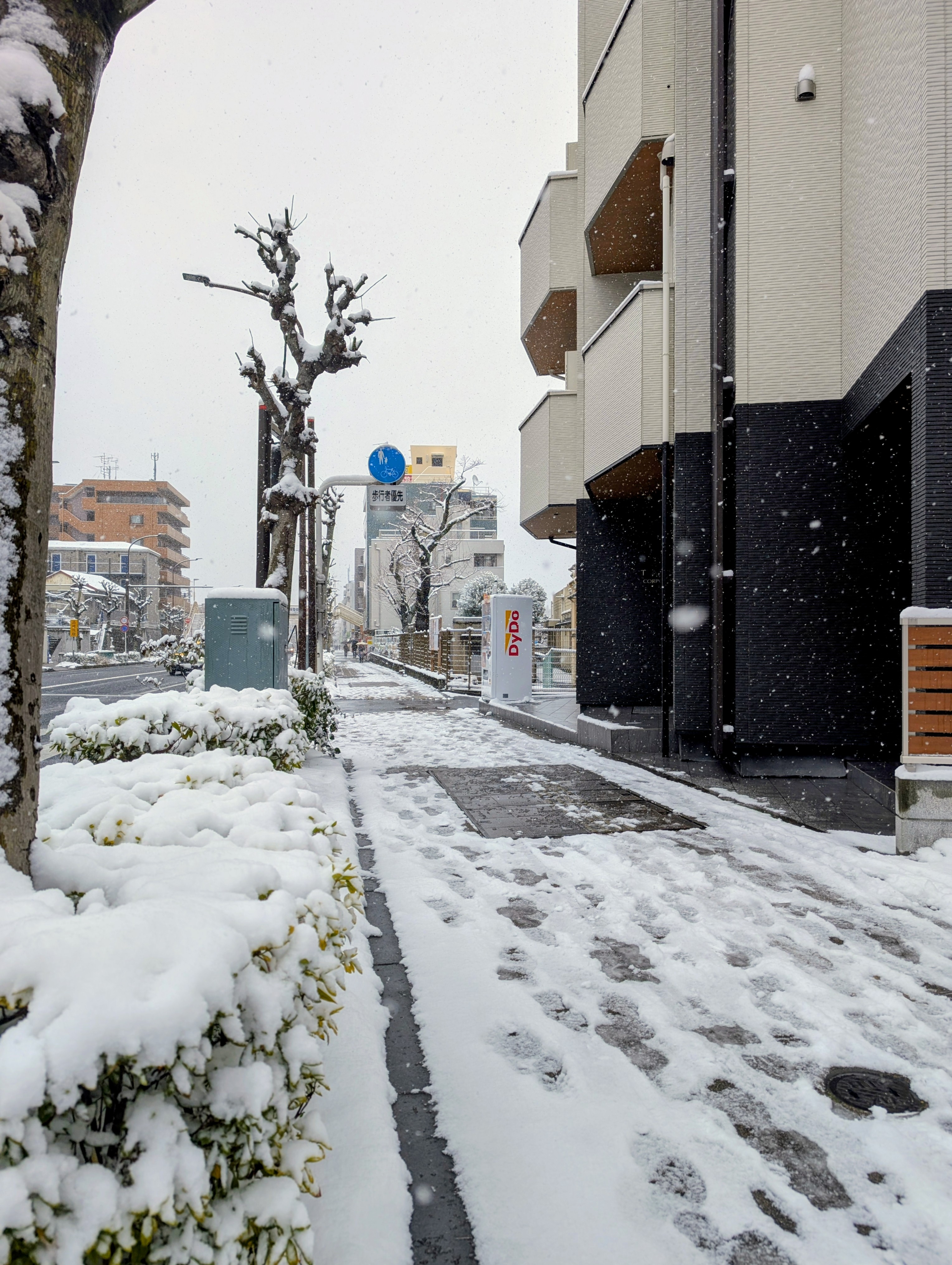 �������̓��j��