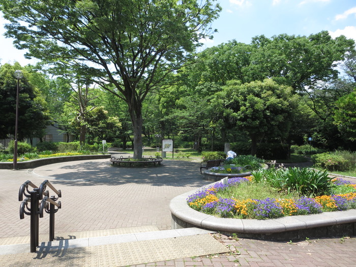 三ツ沢公園 三ツ沢公園
