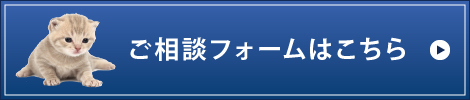 ご相談フォームはこちら ご相談フォームはこちら